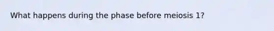 What happens during the phase before meiosis 1?