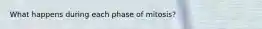 What happens during each phase of mitosis?