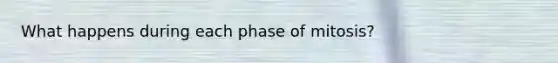 What happens during each phase of mitosis?