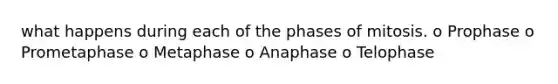 what happens during each of the phases of mitosis. o Prophase o Prometaphase o Metaphase o Anaphase o Telophase