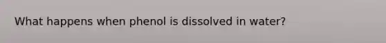 What happens when phenol is dissolved in water?