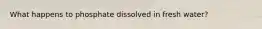 What happens to phosphate dissolved in fresh water?