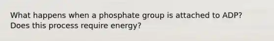 What happens when a phosphate group is attached to ADP? Does this process require energy?