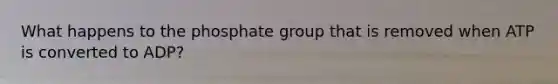 What happens to the phosphate group that is removed when ATP is converted to ADP?