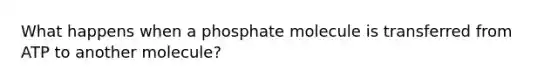 What happens when a phosphate molecule is transferred from ATP to another molecule?