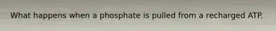 What happens when a phosphate is pulled from a recharged ATP.