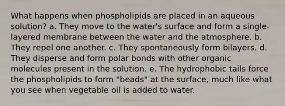 What happens when phospholipids are placed in an aqueous solution? a. They move to the water's surface and form a single-layered membrane between the water and the atmosphere. b. They repel one another. c. They spontaneously form bilayers. d. They disperse and form polar bonds with other organic molecules present in the solution. e. The hydrophobic tails force the phospholipids to form "beads" at the surface, much like what you see when vegetable oil is added to water.