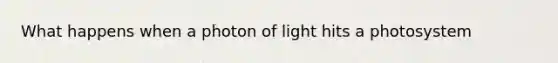 What happens when a photon of light hits a photosystem