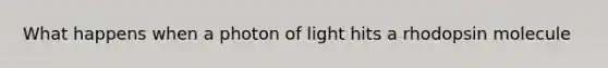 What happens when a photon of light hits a rhodopsin molecule