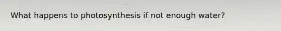 What happens to photosynthesis if not enough water?