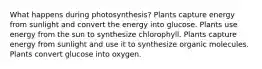 What happens during photosynthesis? Plants capture energy from sunlight and convert the energy into glucose. Plants use energy from the sun to synthesize chlorophyll. Plants capture energy from sunlight and use it to synthesize organic molecules. Plants convert glucose into oxygen.