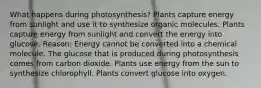 What happens during photosynthesis? Plants capture energy from sunlight and use it to synthesize organic molecules. Plants capture energy from sunlight and convert the energy into glucose. Reason: Energy cannot be converted into a chemical molecule. The glucose that is produced during photosynthesis comes from carbon dioxide. Plants use energy from the sun to synthesize chlorophyll. Plants convert glucose into oxygen.