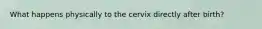 What happens physically to the cervix directly after birth?