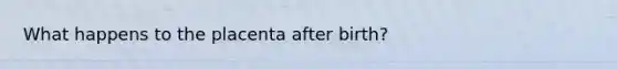 What happens to the placenta after birth?