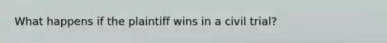 What happens if the plaintiff wins in a civil trial?