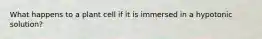 What happens to a plant cell if it is immersed in a hypotonic solution?