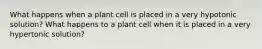 What happens when a plant cell is placed in a very hypotonic solution? What happens to a plant cell when it is placed in a very hypertonic solution?