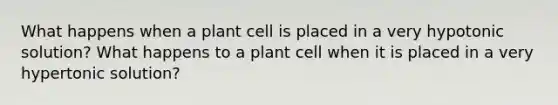 What happens when a plant cell is placed in a very hypotonic solution? What happens to a plant cell when it is placed in a very hypertonic solution?