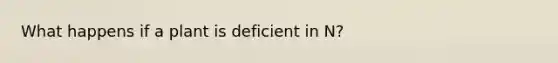 What happens if a plant is deficient in N?