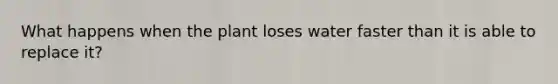 What happens when the plant loses water faster than it is able to replace it?