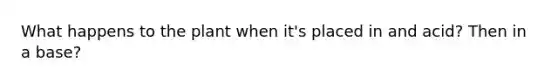 What happens to the plant when it's placed in and acid? Then in a base?