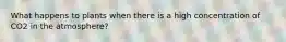 What happens to plants when there is a high concentration of CO2 in the atmosphere?