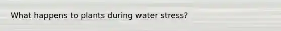 What happens to plants during water stress?