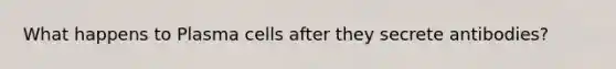 What happens to Plasma cells after they secrete antibodies?