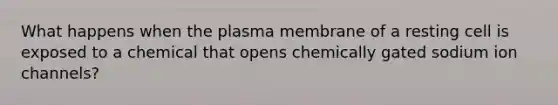 What happens when the plasma membrane of a resting cell is exposed to a chemical that opens chemically gated sodium ion channels?