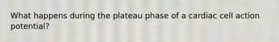 What happens during the plateau phase of a cardiac cell action potential?