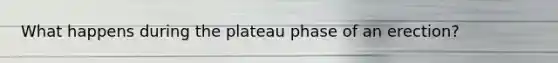 What happens during the plateau phase of an erection?
