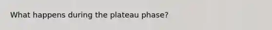 What happens during the plateau phase?