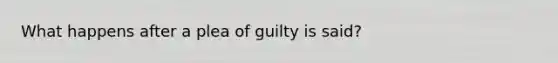 What happens after a plea of guilty is said?