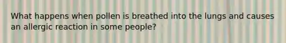 What happens when pollen is breathed into the lungs and causes an allergic reaction in some people?