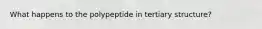 What happens to the polypeptide in tertiary structure?
