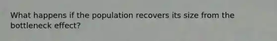 What happens if the population recovers its size from the bottleneck effect?