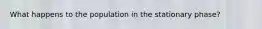 What happens to the population in the stationary phase?