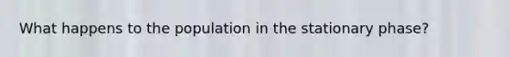 What happens to the population in the stationary phase?