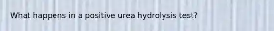 What happens in a positive urea hydrolysis test?