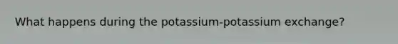 What happens during the potassium-potassium exchange?