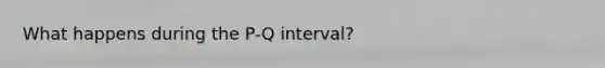 What happens during the P-Q interval?