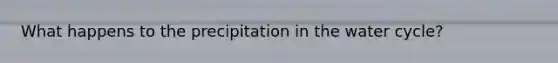 What happens to the precipitation in the water cycle?