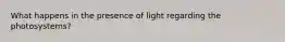 What happens in the presence of light regarding the photosystems?