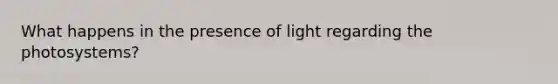 What happens in the presence of light regarding the photosystems?