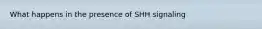 What happens in the presence of SHH signaling