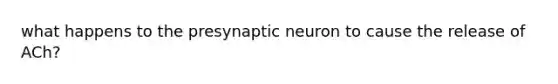 what happens to the presynaptic neuron to cause the release of ACh?