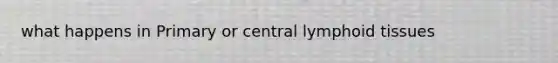 what happens in Primary or central lymphoid tissues