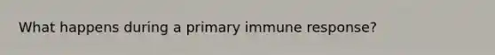 What happens during a primary immune response?