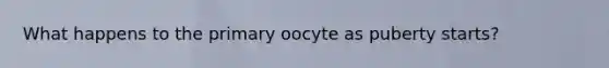 What happens to the primary oocyte as puberty starts?