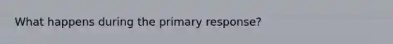 What happens during the primary response?